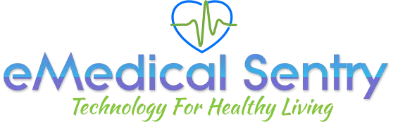 DreamSoft4u IT Solution Simplified logo